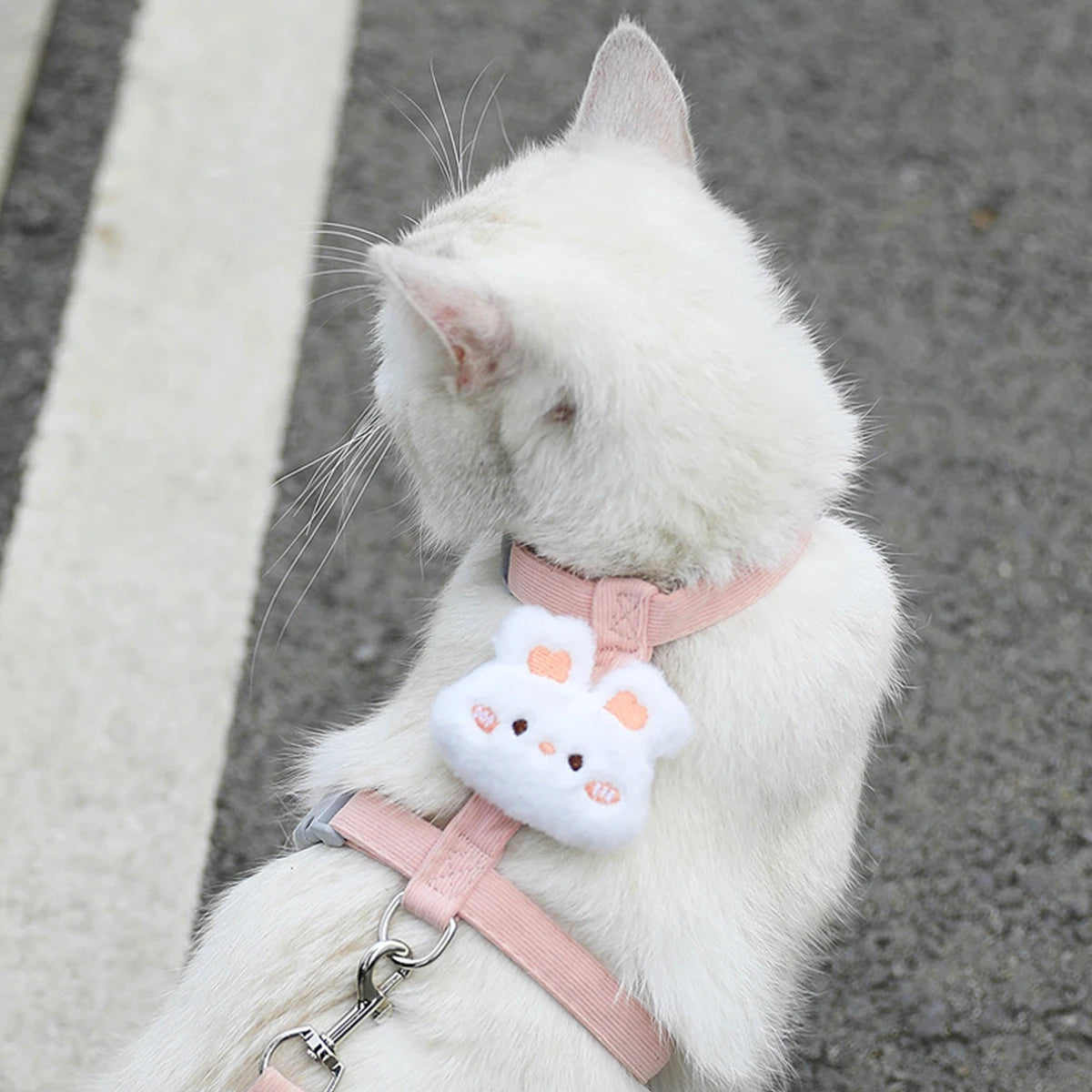 Cat & Dog Harness and Leash Set ā Adjustable Breathable Pet Walking Strap for Small Dogs and Cats