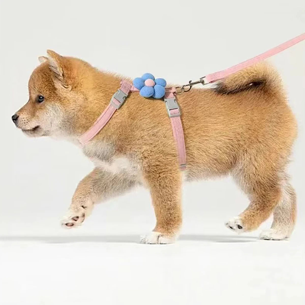 Cat & Dog Harness and Leash Set – Adjustable Breathable Pet Walking Strap for Small Dogs and Cats