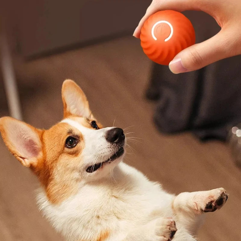 Smart Electric Jumping Ball Toy – USB Rechargeable Automatic Interactive Dog & Cat Toy