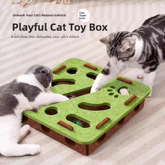 Interactive Cat Puzzle Box – Exercise & Play Toy
