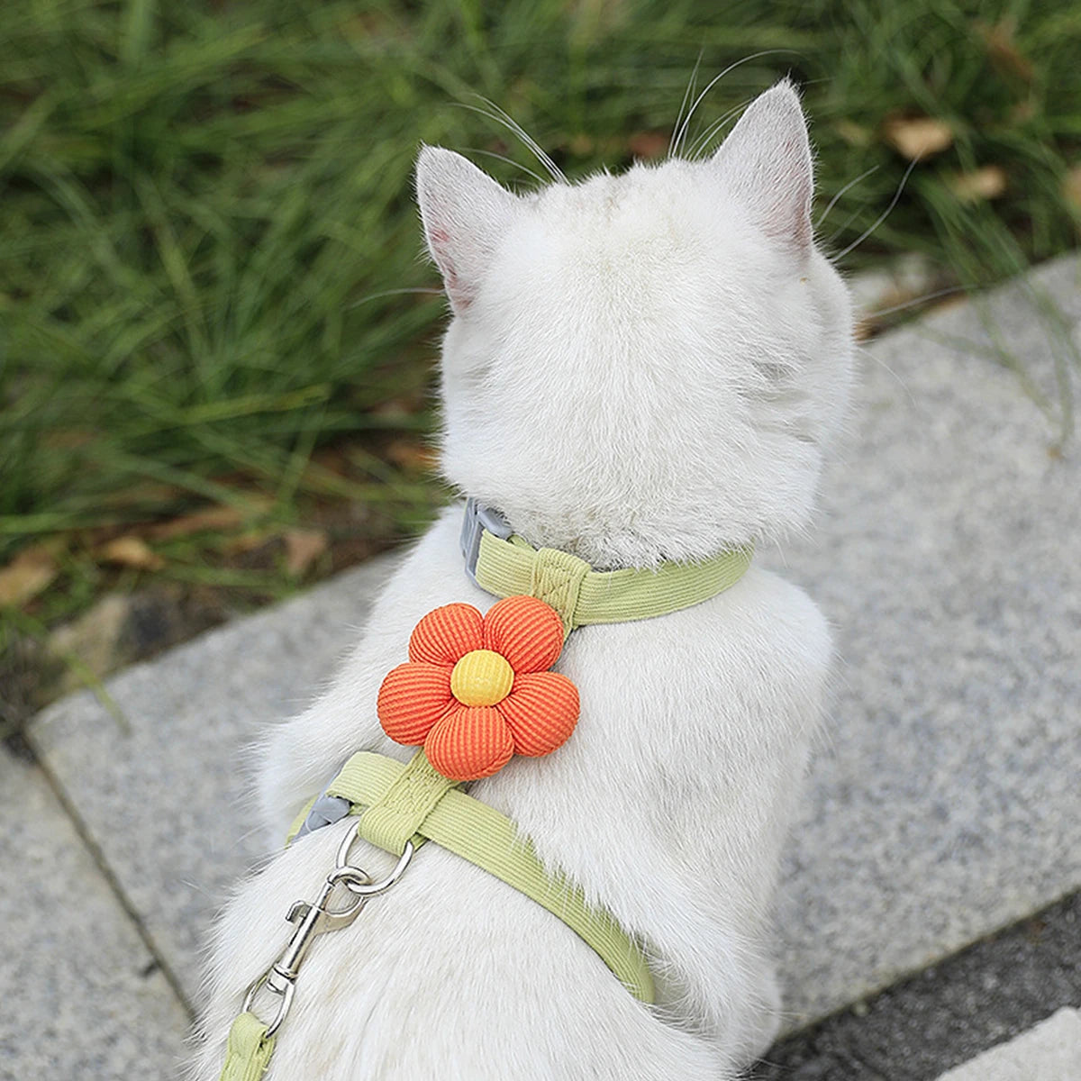 Cat & Dog Harness and Leash Set – Adjustable Breathable Pet Walking Strap for Small Dogs and Cats