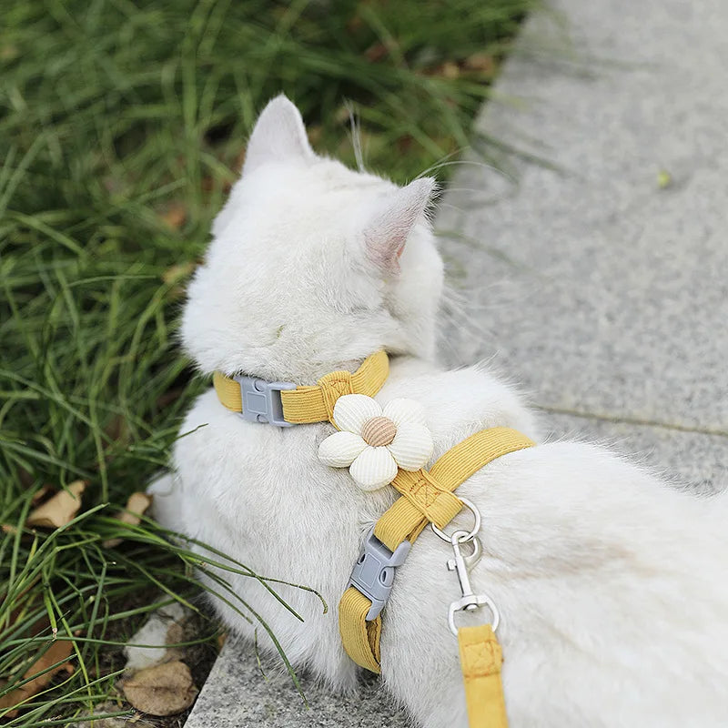 Cat & Dog Harness and Leash Set – Adjustable Breathable Pet Walking Strap for Small Dogs and Cats