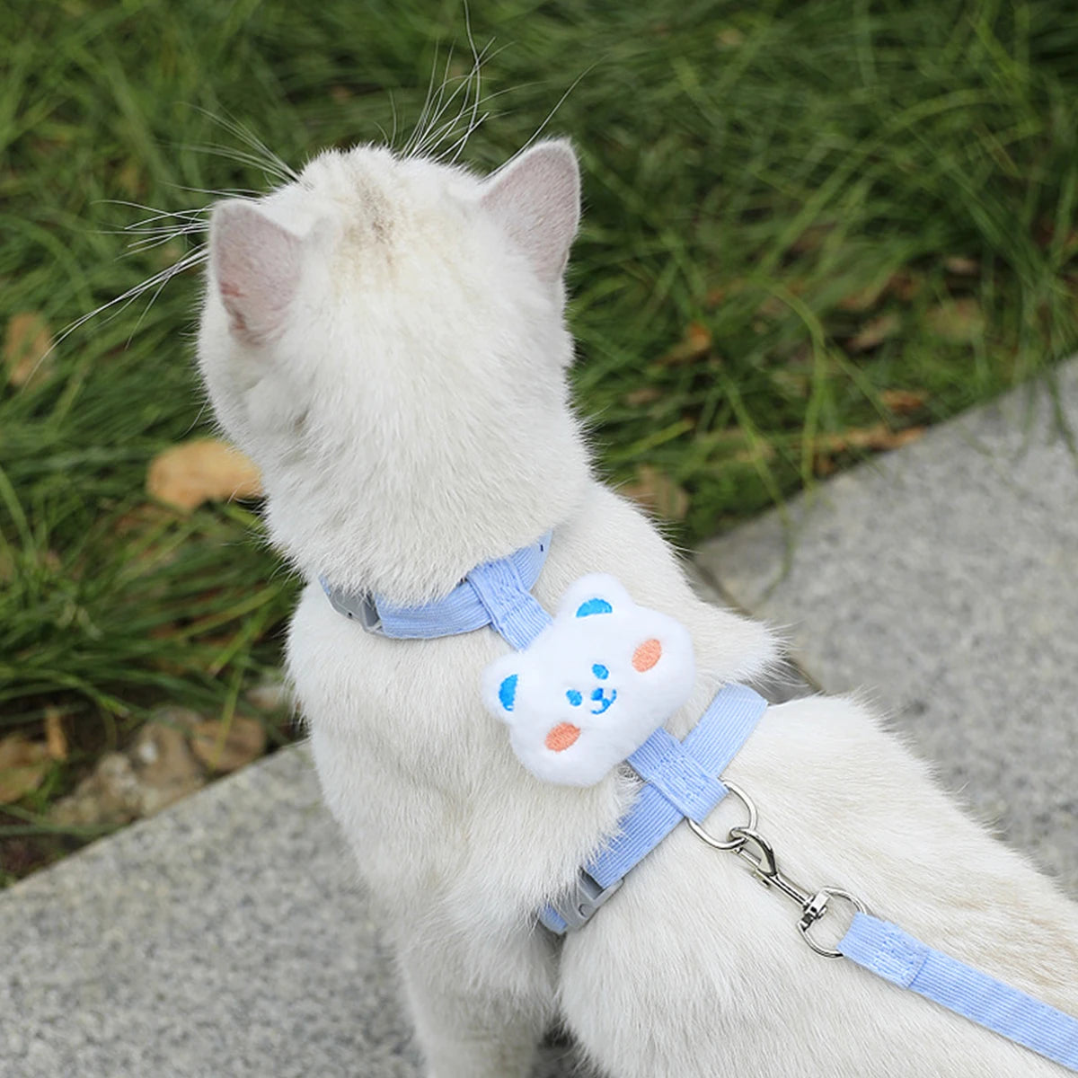 Cat & Dog Harness and Leash Set – Adjustable Breathable Pet Walking Strap for Small Dogs and Cats